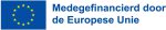 NL-Medegefinancierd-door-de-Europese-Unie_POS